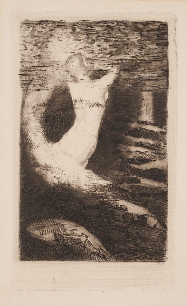 From the frontispiece to the 1891 novel La Passante by Andrй Remacle.  A female figure, seen from behind, emerges from an abstracted landscape.