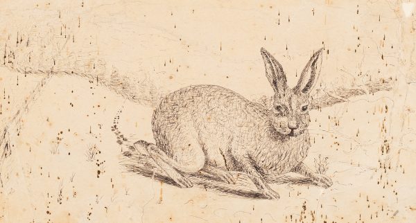 Finely rendered rabbit in foreground with lightly rendered, gnarled tree to right, tufts of grass here and there. Rabbit's tiny footprints trailing back toward distant, very lightly rendered landscape in background to left depicting fence, houses, etc.