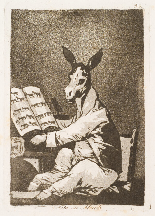 A donkey in mens clothing, sits looking at a picture book of other donkeys.