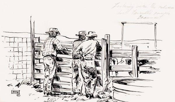 Looking over the Calves, Jack Ferrell's Ranch, Beaumont