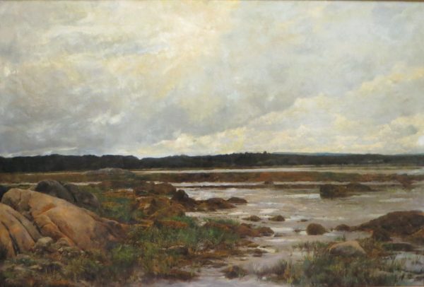 A marsh landscape of water, rocks and grasses.