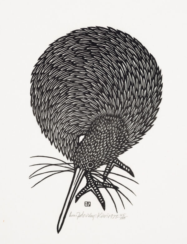 A bird with a very round body and a long bill.