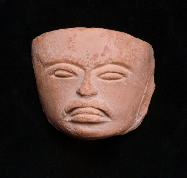 Head fragment.