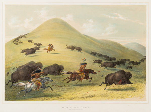 Indians hunt buffalo in tall hills.