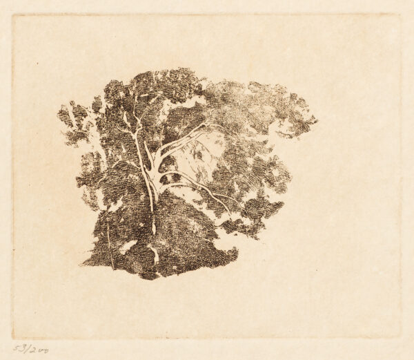 A fully drawn tree at center is surrounded by sketched trees. A posthumous edition printed from original copper plates executed by Emil Carlsen in sepia ink on hand-made paper by Roland Poska. Printer is Roland Poska, Fishy Whale Press, Milwaukee, Published by Brett Mitchell Collection, Inc.