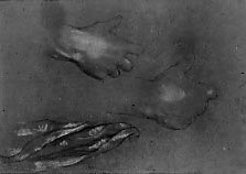 Study of the backs of two hands; sketch of cloth at lower left.