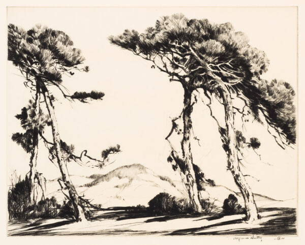 1939 Prairie Print Makers gift print. Four tall trees in front of a treeless hill.