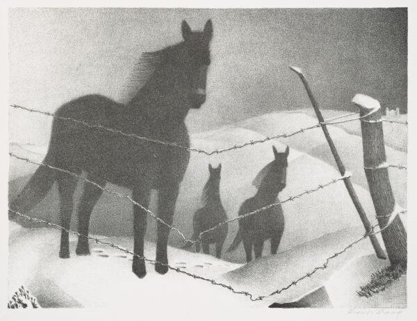 A barbed wire fence in front of three horses in the snow.
