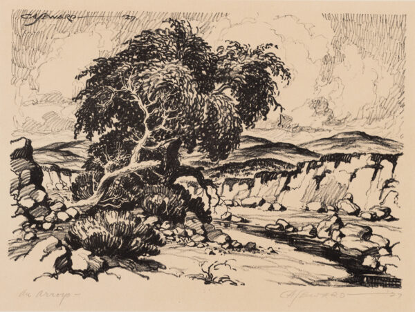 A creek passes by a tree hanging over it, with arid landscape in the background.