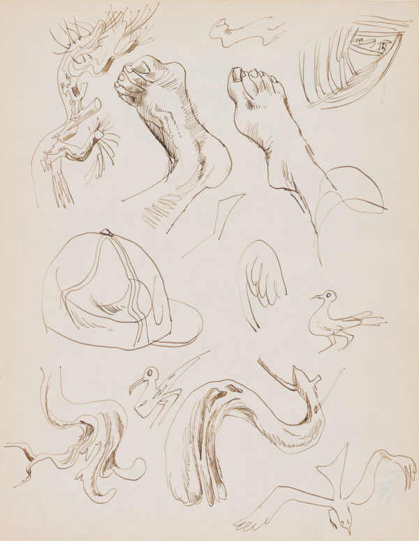 Sketches of various parts of the body.