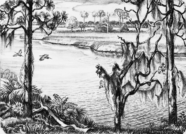 An birds-eye-view of a river with Spanish moss covered trees and two herons flying over the river on the left.