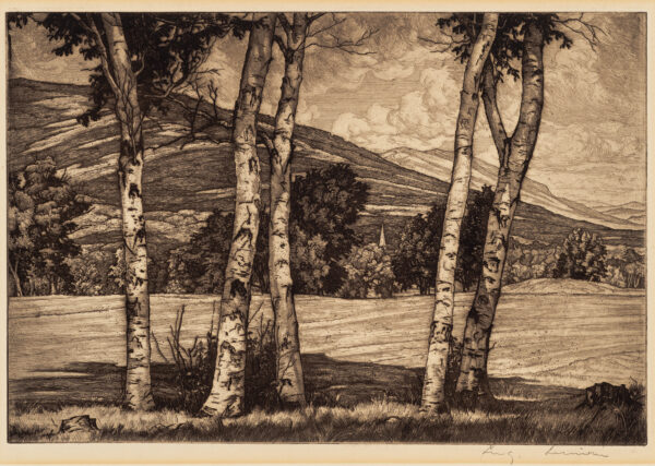 View of five birch trees in foreground, with mountains in background.