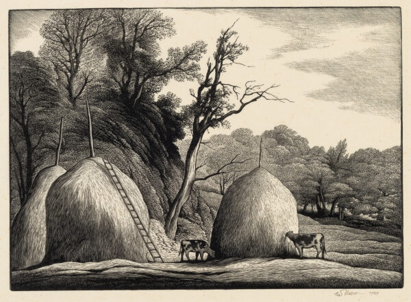 Wooded landscape with three haystacks in left/center foreground, ladder leaning against one of the haystacks, two cows feeding off of another haystack.