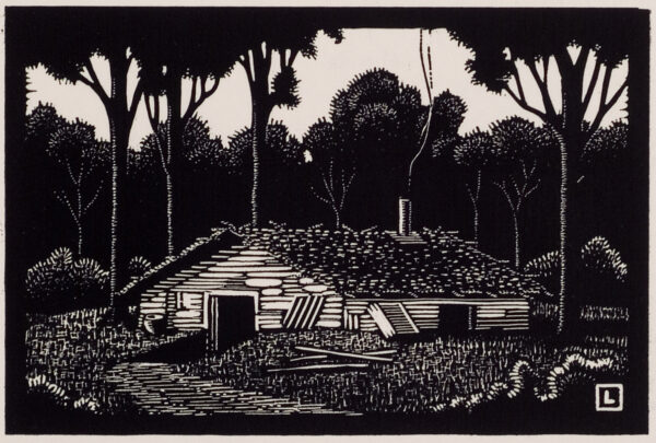 Depicts a house with the lower part underground and the upper part and roof above ground; a path leading to the front door is in the lower left.