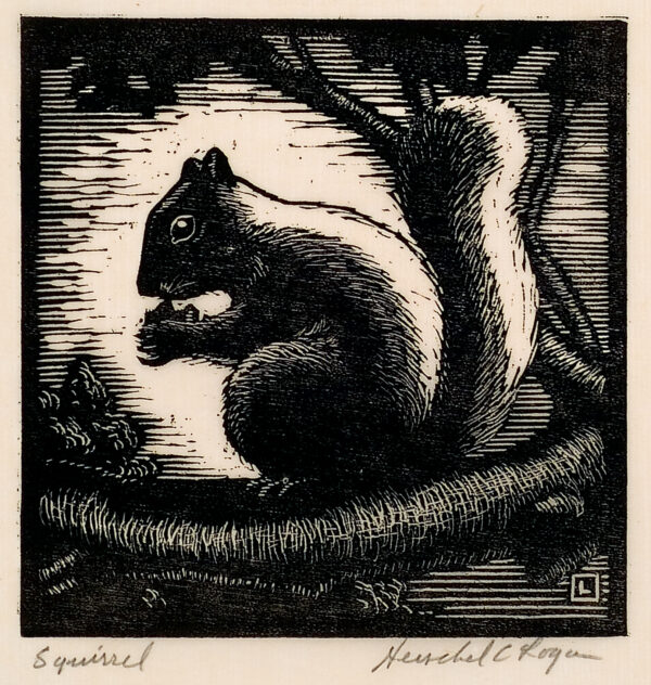 Depicts the profile of a squirrel eating an acorn.