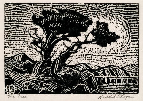 Depicts a large tree with a split trunk surrounded by low hills.