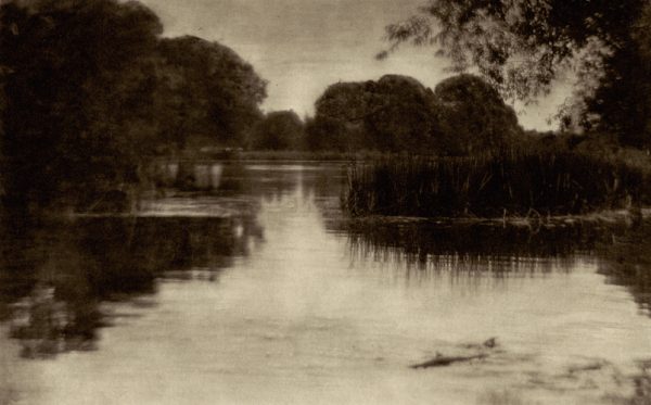 A landscape with water in the foreground and tall grasses and trees in the background.