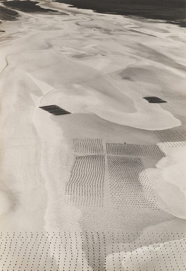 Alkali flats with a manmade grid of objects over natural crackle of the land surface.