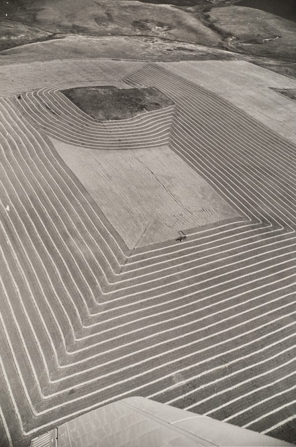 Mown field in the shape of a rectangle with a rounded center. The plane’s wing is at the bottom.