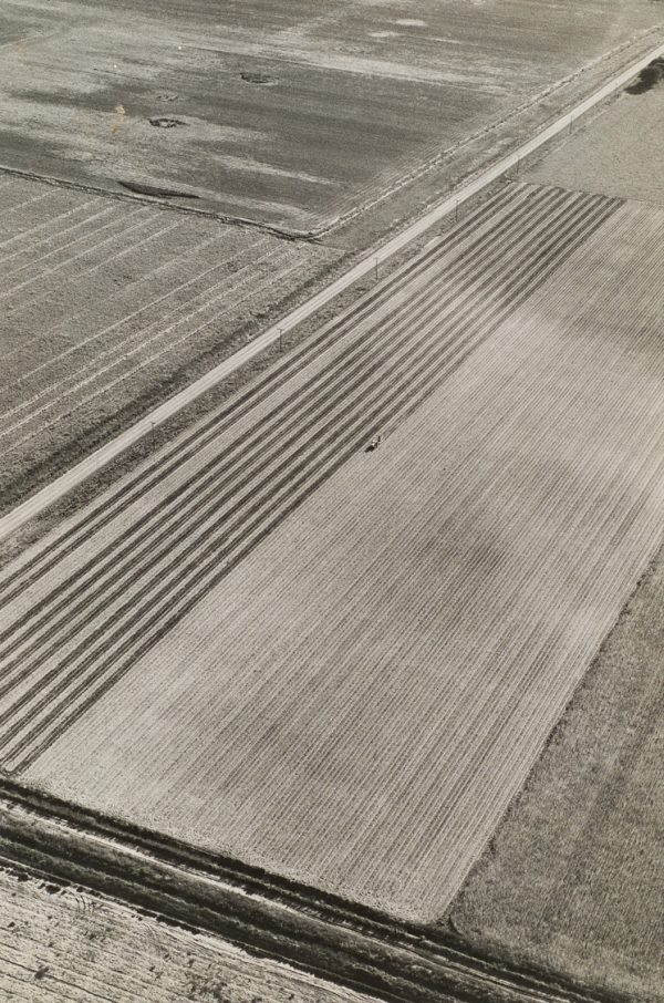 Every other row of a field is being plowed.