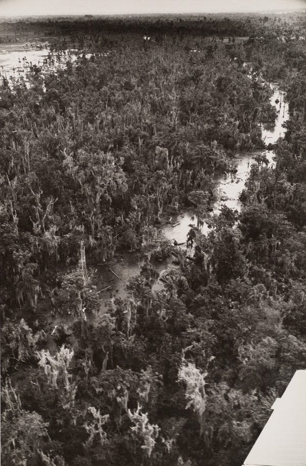 Swamps with plane’s wing at lower right corner.