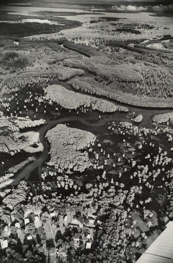 Swamp with buildings at lower left and the wing of the plane at lower right corner.