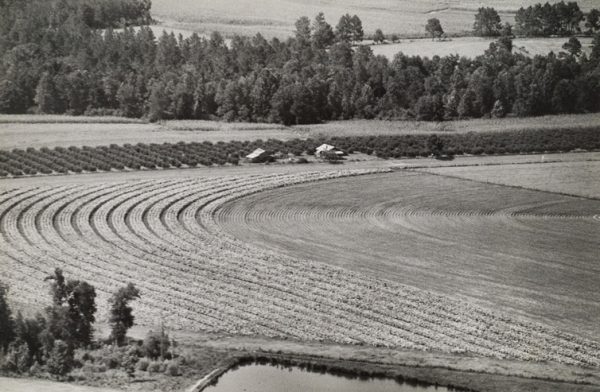 Circular pattern in fields with farm in middle.