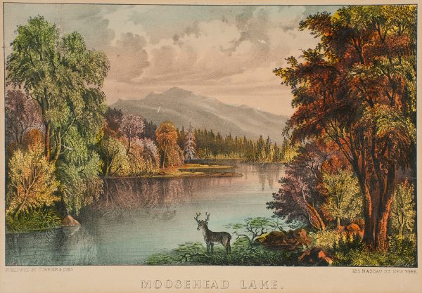 A deer standing on a bank of Moosehead Lake with mountains in the background.