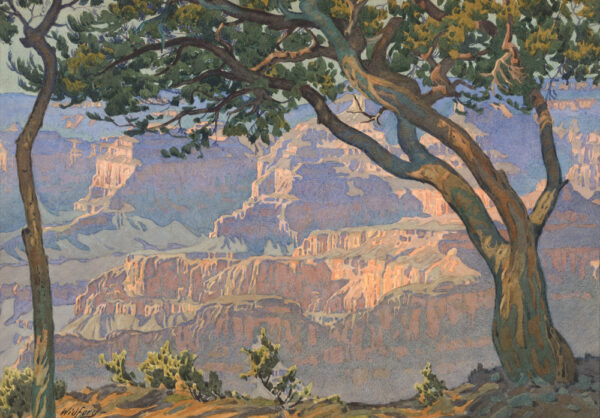 A view of the Grand Canyon with a tree in the foreground