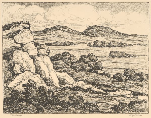 Rocks and low brush are on the left overlooking a plain with low mountains in the background.