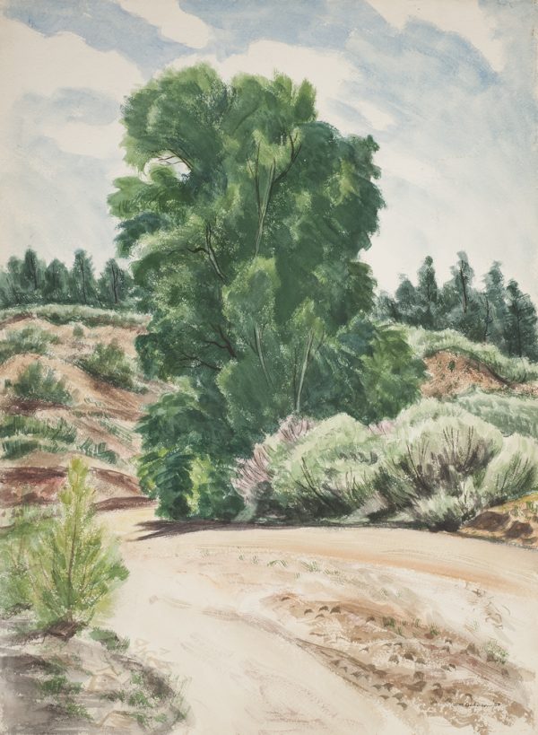 The summer landscape's pale light blue washed clouded sky covering nearly the upper one half of the painting is filled with a large single cottonwood tree center. A dirt road lower center and right disappears left moving around the base of the tall cottonwood tree. The roadside is lined with small trees and sagebrush. Placed in the center of the painting is a hillside topped with a row of evergreen trees that silhouette the horizon.