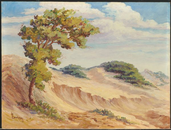 One tree on the left in an arid landscape of washed out dunes and green shrubs in the distance.