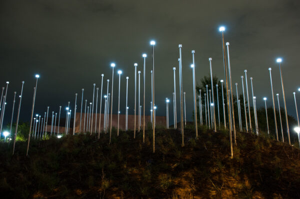 A berm planted with prairie grass and aluminum poles with LED solar lights at the top of each pole, that pulse on and off.