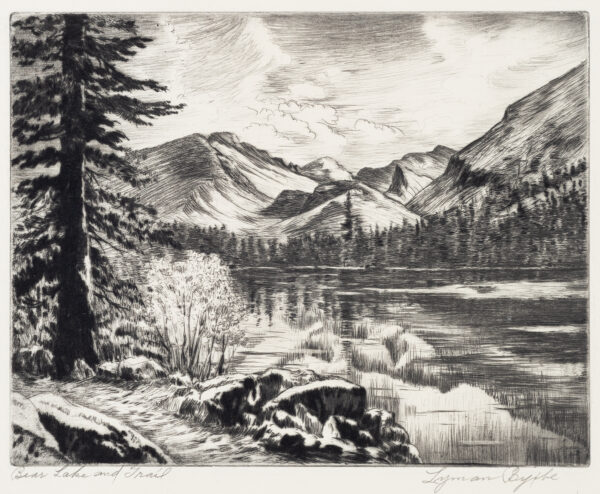 Scene of treeless mountains in the background with clouds above, lake in the foreground to the right. There is one large tree at the left with rocks, a trail, and plants along the shore.