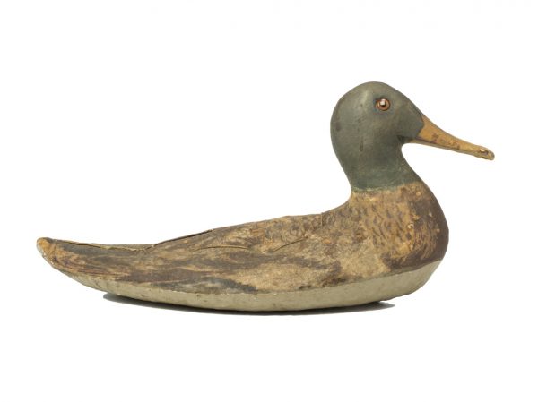 A painted wood duck decoy, with canvas stretched over the body. The colors are tan, grays and brown, red eye.