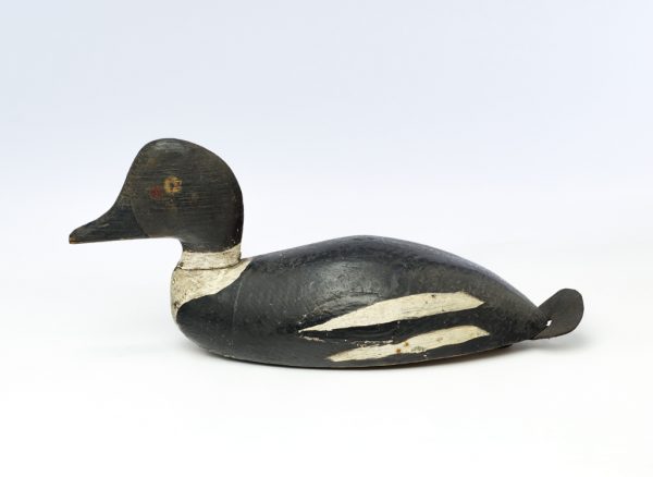 A painted wood decoy with leather tail. It is black with white ringed neck and two stripes at wings. There is a leather loop at the bottom for pulling the decoy.