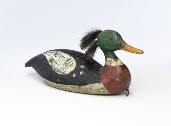 A painted wood decoy with black body, red breast, white ringed neck, green head, tan bill and  horse hair at crest of head.