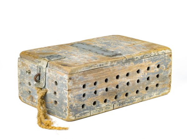 The object is a painted wooden bait box with leather strap hinge and closure, iron-alloy hardware, and twine tie. The box is painted light blue on the interior and exterior surfaces. A series of drilled holes are present on five faces of the box to allow air circulation.