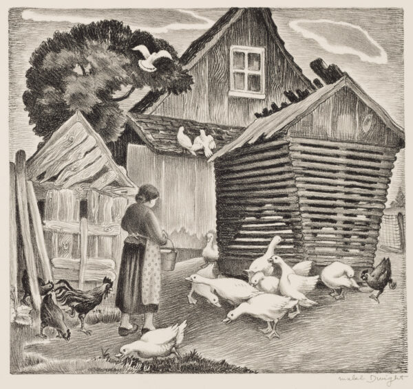 Farmhouse background with three buildings, woman with apron in center with back turned feeds the geese and chickens as some birds fly overhead.
