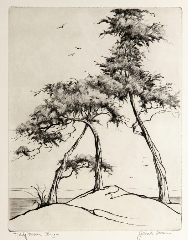 Three winding trees stand on a hill top overlooking a body of water, Birds fly above the trees and water.