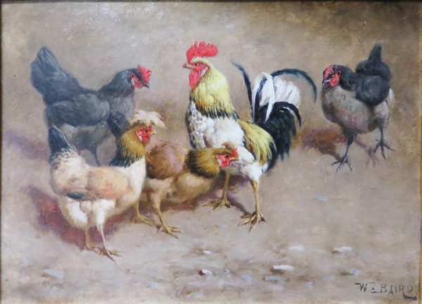 A white, black and red color rooster is at the center with four hens facing the rooster.