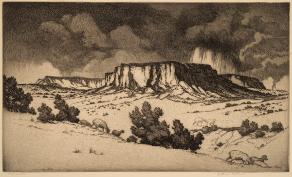 View of a canyon and terrain. There are sheep traveling along the terrain.