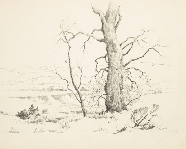 A large tree is drawn to a small tree, both barren. In the distance, there are small houses.