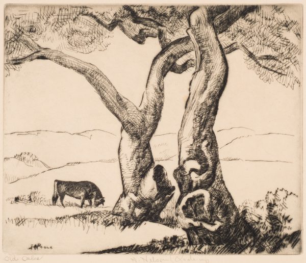 Two gnarled oak trees are featured at centered, with a bull grazing to the left and behind.