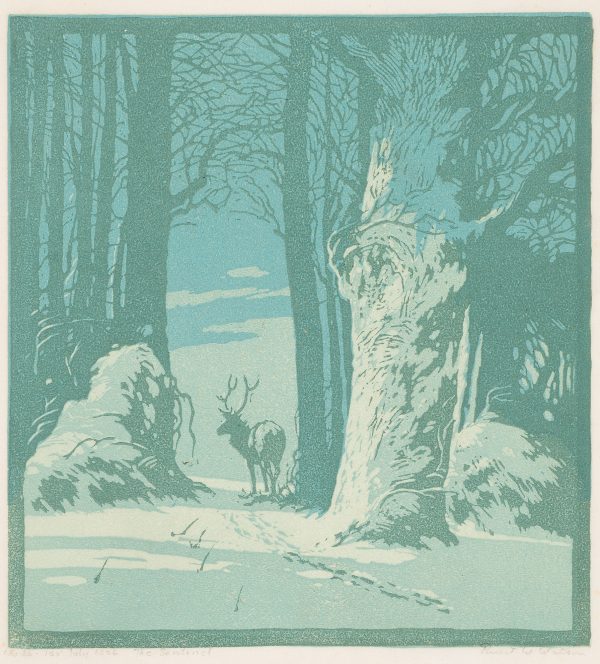 A snowy forest scene with a parting in the trees where a moose stands with trek marks leading up to him, looking left.