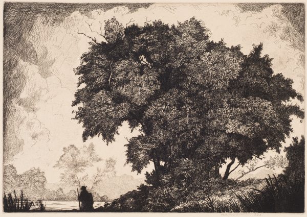 A figure stands beside a body of water with a large tree filling the composition. There are many clouds in the sky.