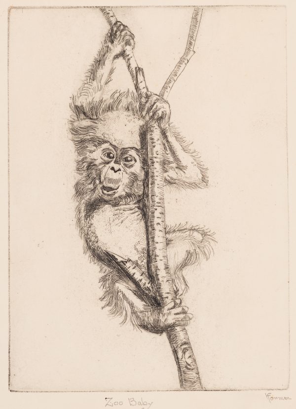 A young monkey hangs on to a slender, baren tree branch.