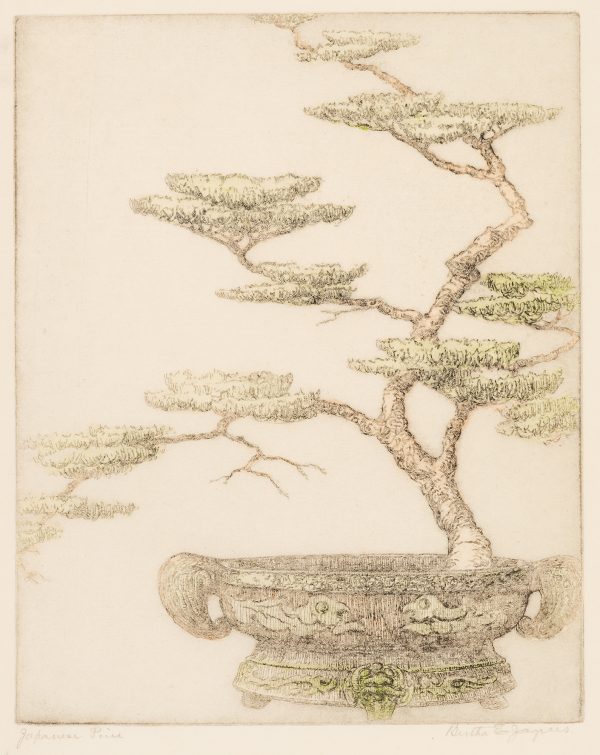 A Japanese pine tree grows out of a large decorative pot.