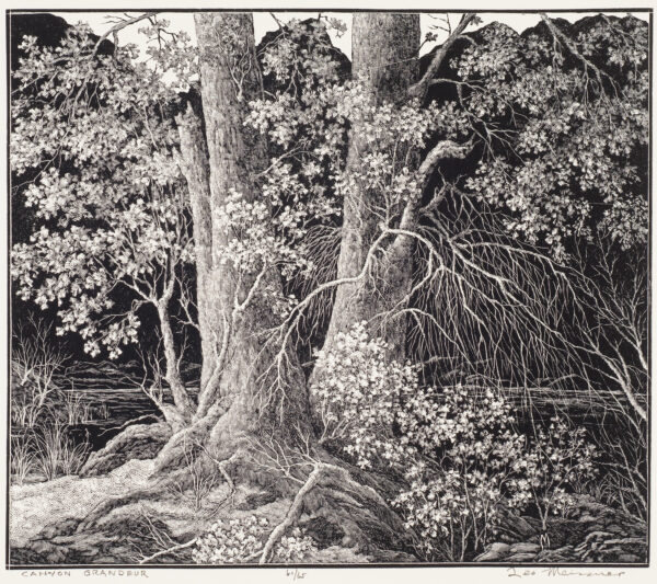 Two large tree trunks can be seen with smaller shrubs around.