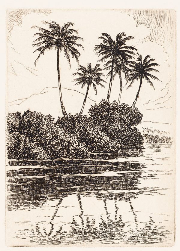 A group of palm trees rise from a peaceful, tropical beach.